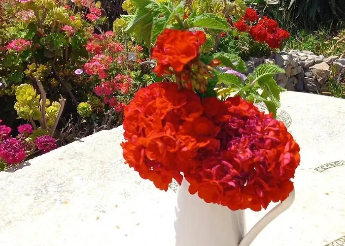 Mariposa Mariposaholidays Vakantiehuis