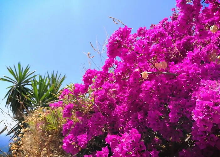 Vakantiehuis Mariposa Mariposaholidays Nerja