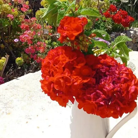 Mariposa Mariposaholidays Prázdninový dům