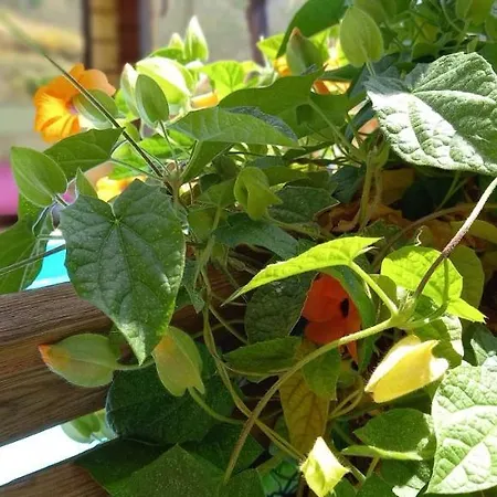 Mariposa Mariposaholidays Prázdninový dům