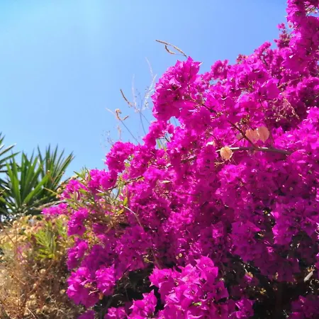 Prázdninový dům Mariposa Mariposaholidays Nerja